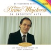 De Regenboog Serie: De Grootste Hits - Bruno Majcherek, Volume 2