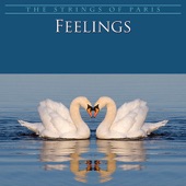 Feelings artwork