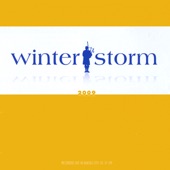 Midwest Highland Arts Fund: Winter Storm 2009 artwork