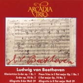 Trio Nr. 1 Es-Dur Op. 1 Nr. 1 - II. Adagio Cantabile artwork