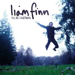 I'll Be Lightning - Liam Finn