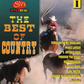 The Best of Country, Vol. 1 - The Best Of Country Vol 1