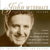 The Voice of Ireland - 25 Popular Songs and Ballads artwork