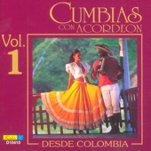 Cumbias Con Acordeon Desde Colombia, Vol. 1 artwork