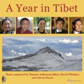 A Year In Tibet artwork