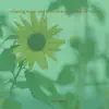 Relaxing Music & the Calming Sounds of Nature, Vol. 9 album lyrics, reviews, download