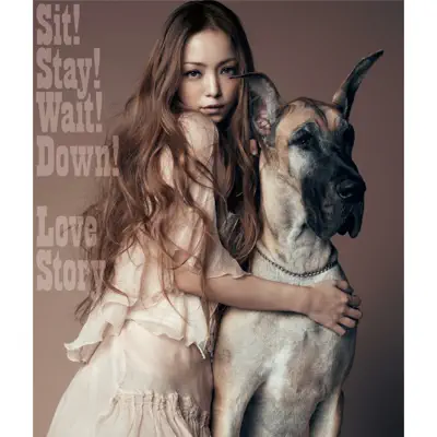 Sit! Stay! Wait! Down!/Love Story - Single - Namie Amuro