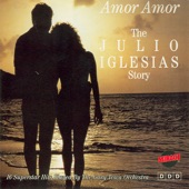 Amor Amor - The Julio Iglesias Story (Instrumental Version) artwork