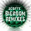 Apologize (Scotty Remix) song lyrics