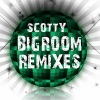 Bigroom Remixes