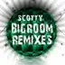 Bigroom Remixes album cover