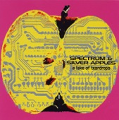 Spectrum & Silver Apples - Streams of Sorrow