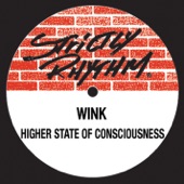 Higher State of Consciousness (Dj Wink'S Hardhouse Mix) artwork
