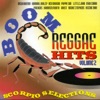 Boom Reggae Hits Vol. 2, 2010