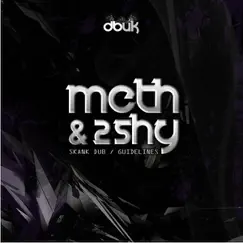 Skank Dub / Guidelines - Single by Meth & Shy album reviews, ratings, credits