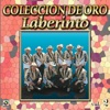 Laberinto Coleccion De Oro, Vol. 1 - Abrigame