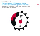 New School of Flamenco artwork