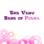 The very best of Polka - Verschiedene Interpreten