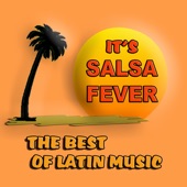 It's Salsa Fever artwork