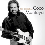 Coco Montoya - Monkey See, Monkey Do