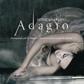 Adagio (En Directo) artwork