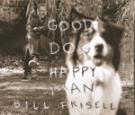 Bill Frisell - Rain, Rain