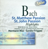 St. Matthew Passion, BWV 244: Part I: Recitative, Aria and Chorale: O Schmerz … Ich will bei Meinem Jesu wachen (Tenor, Chorus) artwork