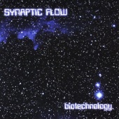 Synaptic Flow - Exit