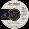 (Shake, Shake, Shake) Shake Your Booty / Boogie Shoes [Digital 45]