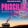 Priscilla - Queen of the Desert (Original Broadway Cast Recording)