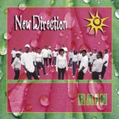 New Direction - New Direction