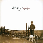 BR549 - After the hurricane