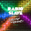 Radio Slave Presents Strictly Rhythms, Vol. 5