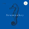 Stream & download Seamonkey - Single
