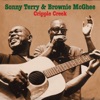 Sonny Terry & Brownie McGhee - The Woman Is Killing Me