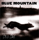 Blue Mountain - The Day They Tore Down The Hippie Hotel