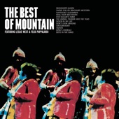 The Best of Mountain artwork