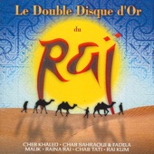 Le double disque d'or du Rai artwork