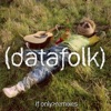 Datafolk - If Only (Datafolk Remix)
