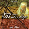Seeds of Love / River Blow - EP
