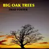 Big Oak Trees album lyrics, reviews, download