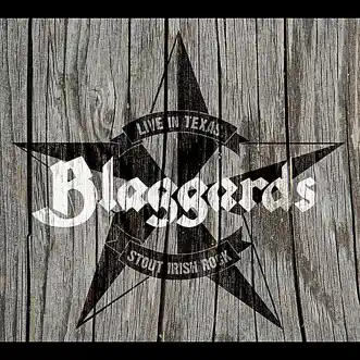 Wild Rover (Live) by Blaggards song reviws