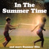 In the Summertime & More Summer Hits, 2011