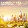 Decibel Outdoor 2011, 2011