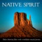 Navajo Pride - Slovak Chamber Orchestra lyrics