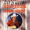 20 Succès - Souvenirs (Vol. 1)
