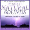 Niall - Ultimate Natural Sounds - Inspiring Thunderstorm