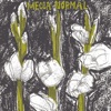 Mecca Normal (The First Album)