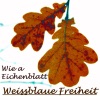 Wie a Eichenblatt - Single