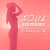 Soul Sensations, Vol. 2 (Re-recorded Version), 2006
